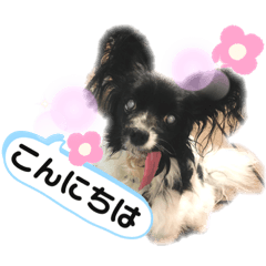 [LINEスタンプ] パピパピパピヨン！(3)