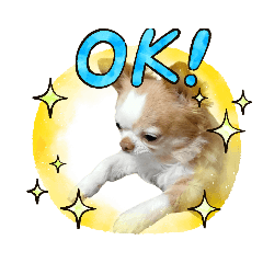 [LINEスタンプ] うちの犬2だん
