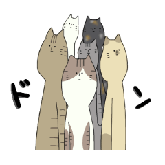 [LINEスタンプ] ねこならなんでもいい