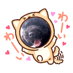 [LINEスタンプ] おいぬたちwithぽんた