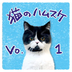 [LINEスタンプ] 猫のハムスケ__Vo.1
