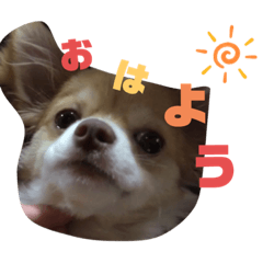 [LINEスタンプ] cocosuke Part2