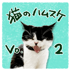 [LINEスタンプ] 猫のハムスケ__Vo.2