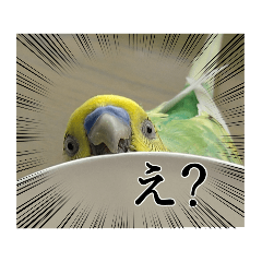[LINEスタンプ] ピーちゃん♥キューちゃん♥スタンプ✨