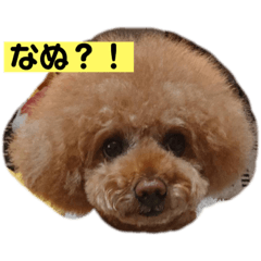 [LINEスタンプ] くれもんスタンプ3