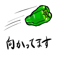 [LINEスタンプ] あなたのピーマンスタンプ