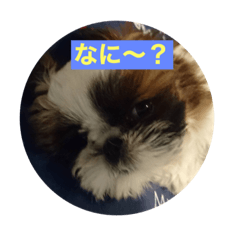 [LINEスタンプ] 可愛い愉快なシーズ2