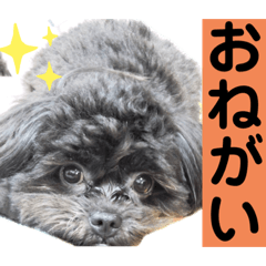 [LINEスタンプ] ナナちゃん可愛いスタンプ