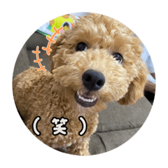 [LINEスタンプ] ルカちゃま