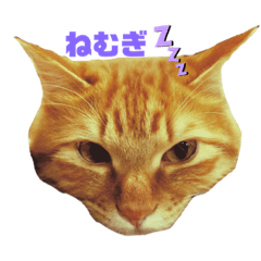 [LINEスタンプ] むぎたの日常1