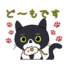 [LINEスタンプ] ハチワレねこちゃんのごあいさつ