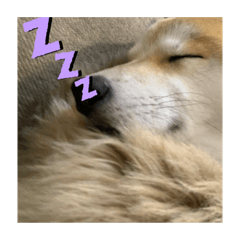 [LINEスタンプ] ぺぺだもの