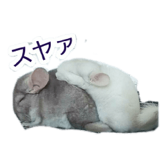 [LINEスタンプ] 飴家の小動物たち