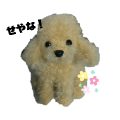 [LINEスタンプ] テディベアたち ②