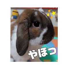[LINEスタンプ] ゆーま公式①