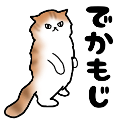 [LINEスタンプ] 茶トラと黒猫のスタンプ【でかもじ】