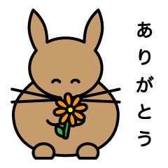 [LINEスタンプ] 家のうさぎ2