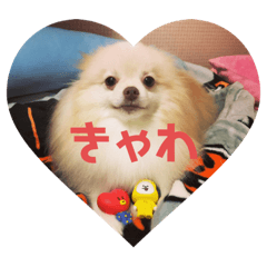[LINEスタンプ] なかーーま