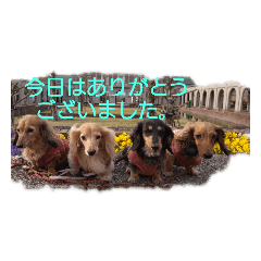 [LINEスタンプ] HIRAME2021