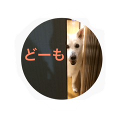 [LINEスタンプ] まるらむ