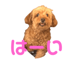 [LINEスタンプ] ぐりあぽ