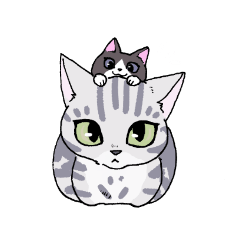 [LINEスタンプ] ミーメル～アメショとハチワレ猫～