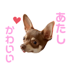[LINEスタンプ] ベル子の日常スタンプ その2
