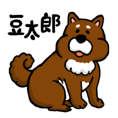 [LINEスタンプ] 犬の豆太郎