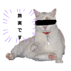 [LINEスタンプ] みーちゃんと愉快なパグたち