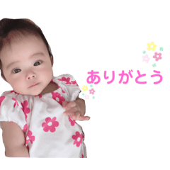 [LINEスタンプ] ルイルイと柴犬空