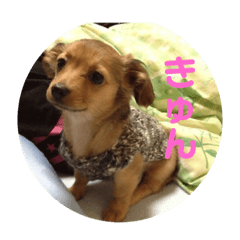 [LINEスタンプ] なめ日和