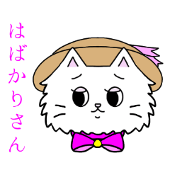 [LINEスタンプ] 可愛いペルシャ猫 京都弁