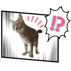 [LINEスタンプ] 我が家のゴロニャンズ