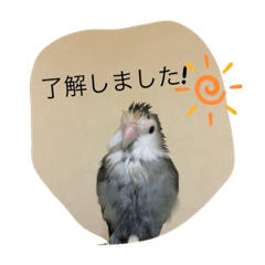[LINEスタンプ] コザクラインコはなちゃん
