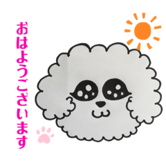 [LINEスタンプ] キラキラおメメのビションフリーゼ