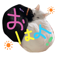 [LINEスタンプ] れたみるスタンプ
