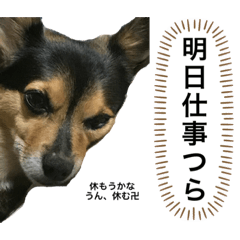 [LINEスタンプ] ハーブさん