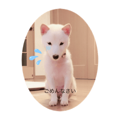 [LINEスタンプ] ココちゃん癒しの巻