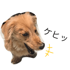 [LINEスタンプ] はみ①