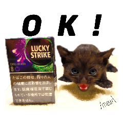 [LINEスタンプ] ぶちょうのためのスタンプ