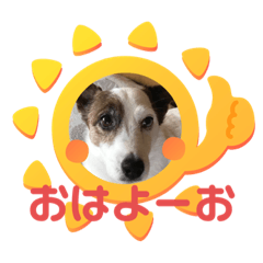 [LINEスタンプ] 四足