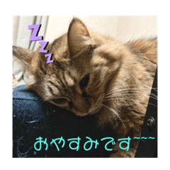 [LINEスタンプ] まろむぎ日和