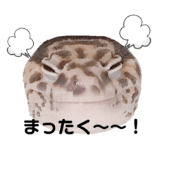 [LINEスタンプ] 兵庫卍會激しぶスタンプ