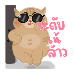 [LINEスタンプ] ぽっちゃり太った猫