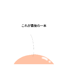 [LINEスタンプ] [面白い]色々な毛のなかま達