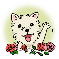 [LINEスタンプ] ホワイトテリアのめいちゃん