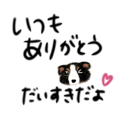 [LINEスタンプ] 家族とほのぼの会話