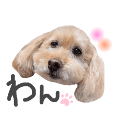 [LINEスタンプ] おとぼけといぷー2