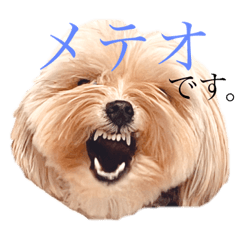 [LINEスタンプ] メテオとヂナ