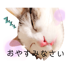 [LINEスタンプ] ちょろ◎